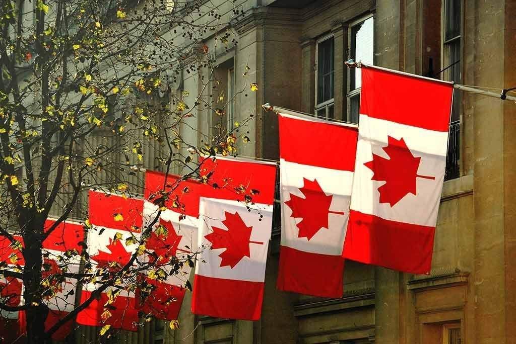 Canadian flags hanging from a building line a street with autumn trees.