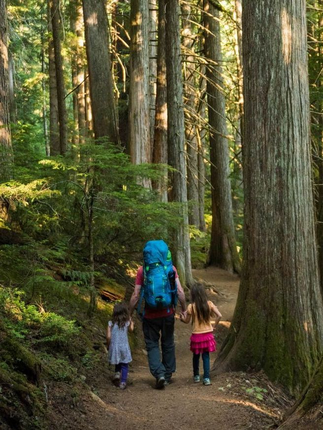 Three hikers with backpacks walk a forest trail among tall trees.