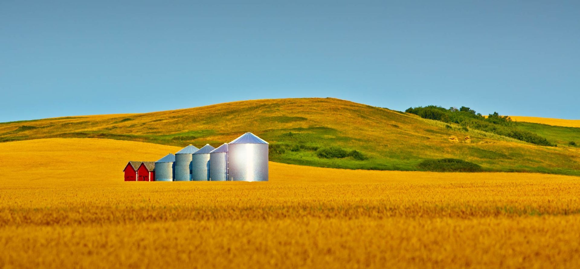 Golden field with silver grain silos and a red barn beneath rolling green hills under a clear sky