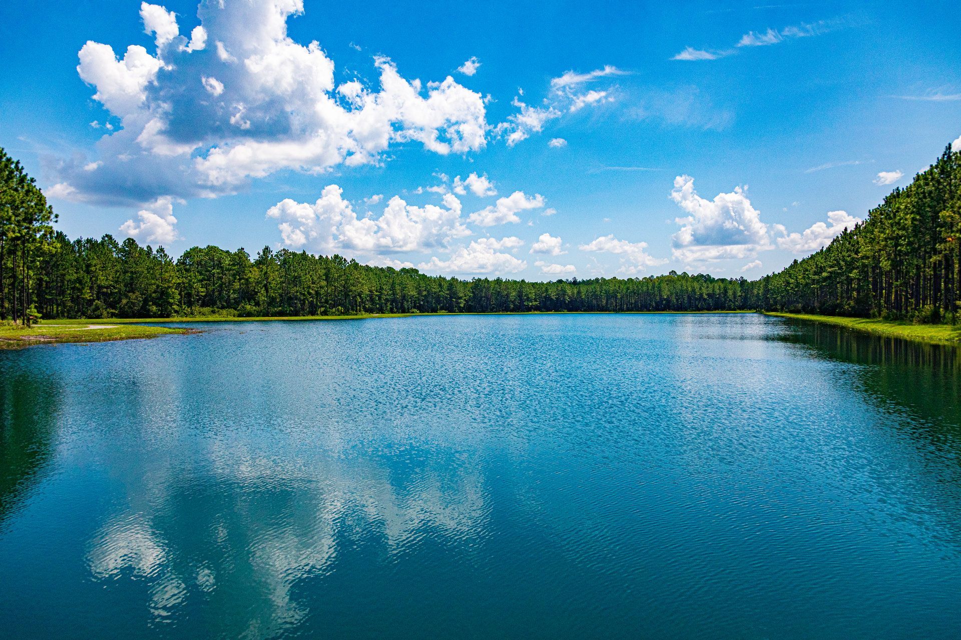 Calm blue lake bordered by pine trees under a bright, cloudy sky in Yulee, Florida