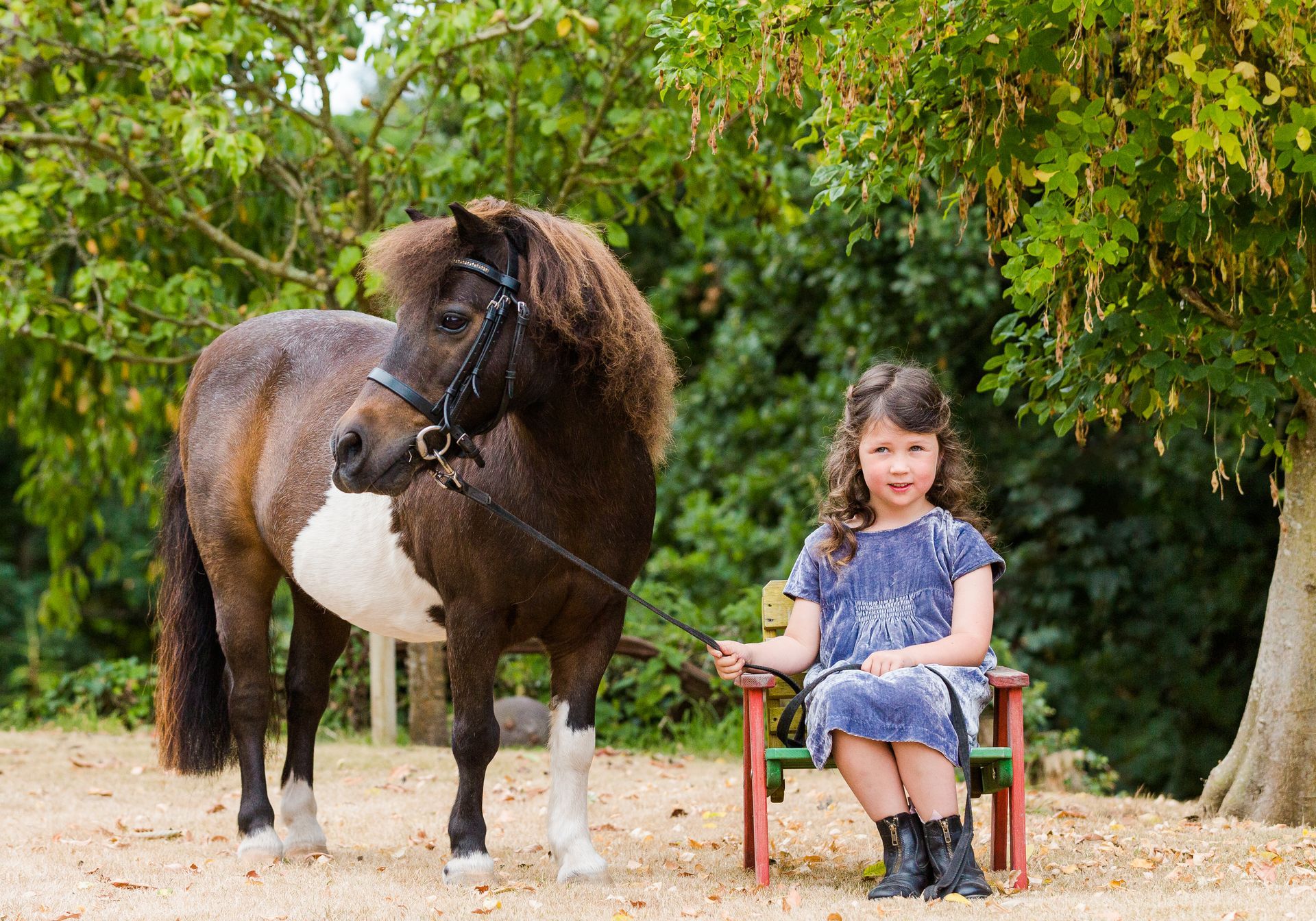 Girl in blue dress sits on a chair next to a brown and white pony; trees in the background.