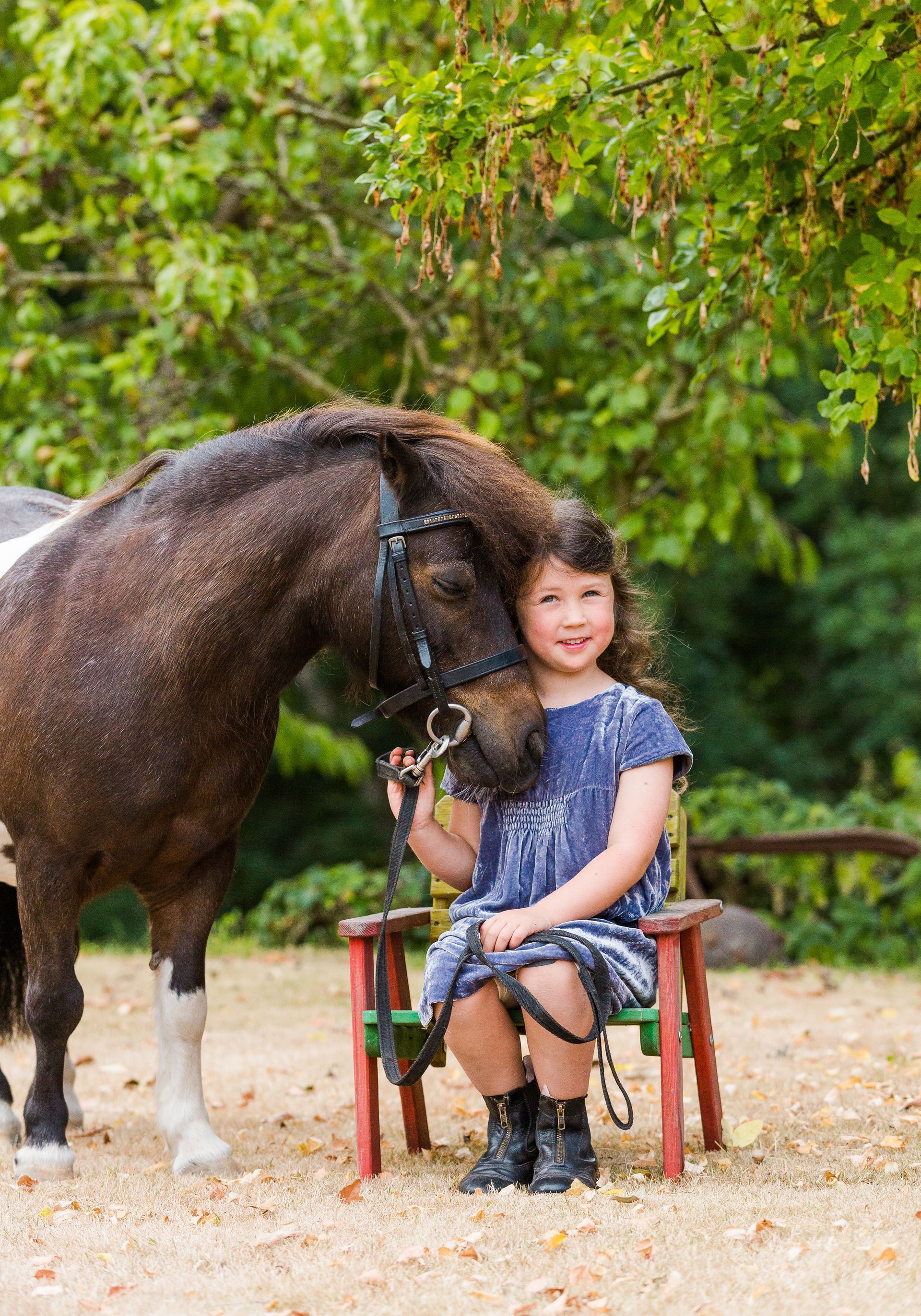 Girl in blue dress sits on chair, petting brown pony's head in outdoor setting.