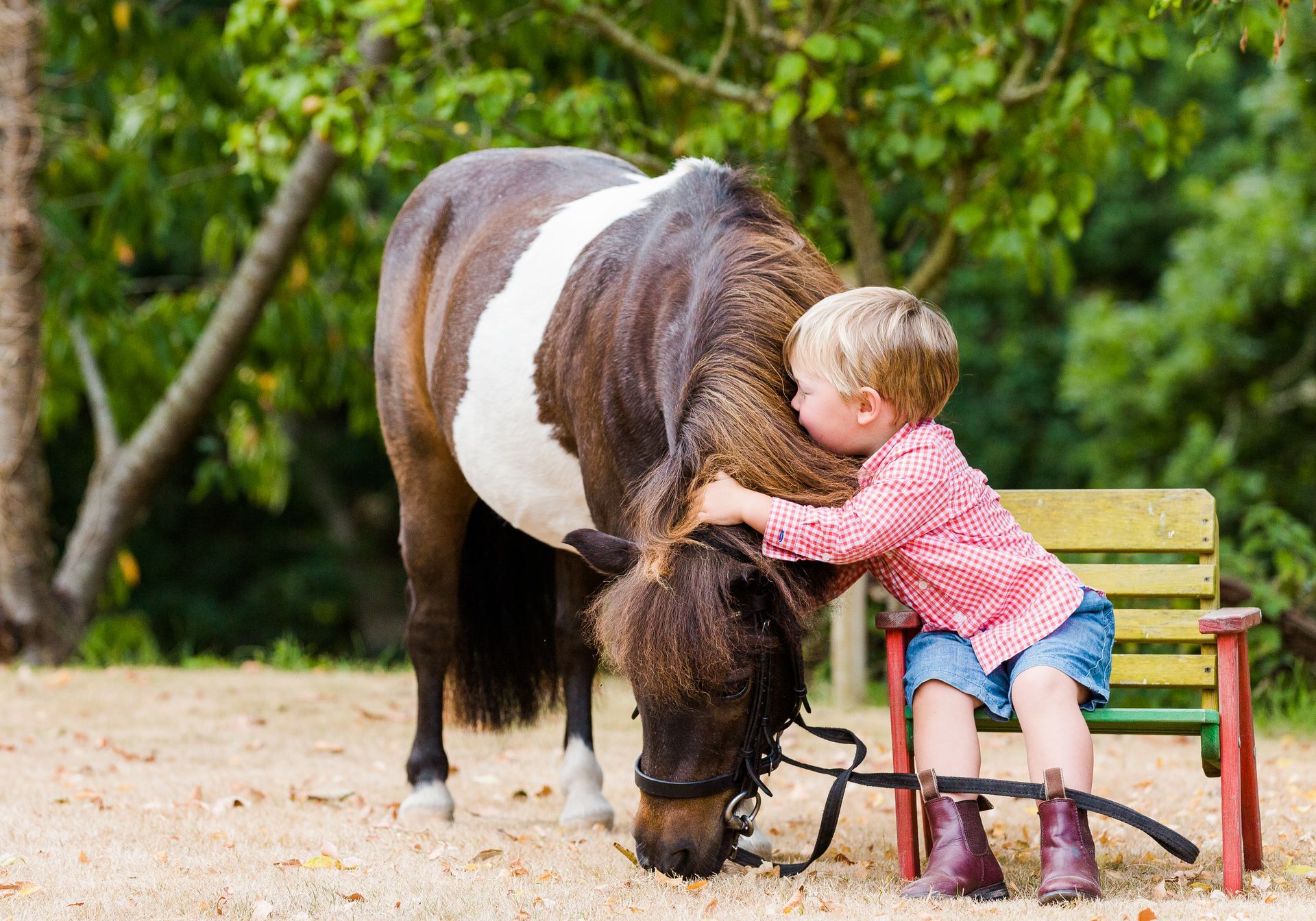 Child hugging a brown and white pony in an outdoor setting next to a small bench.