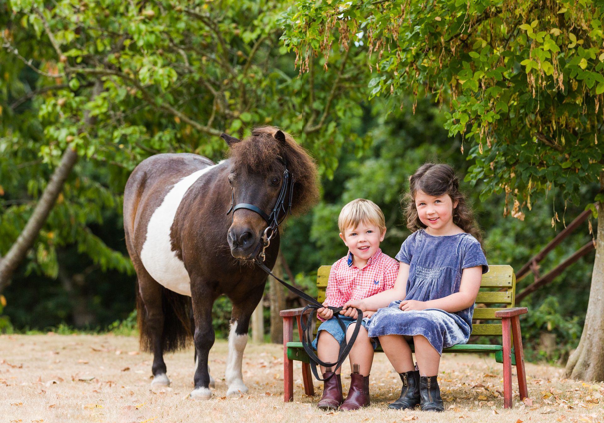Two children sit on a bench beside a brown and white pony; a green, treed outdoor setting.