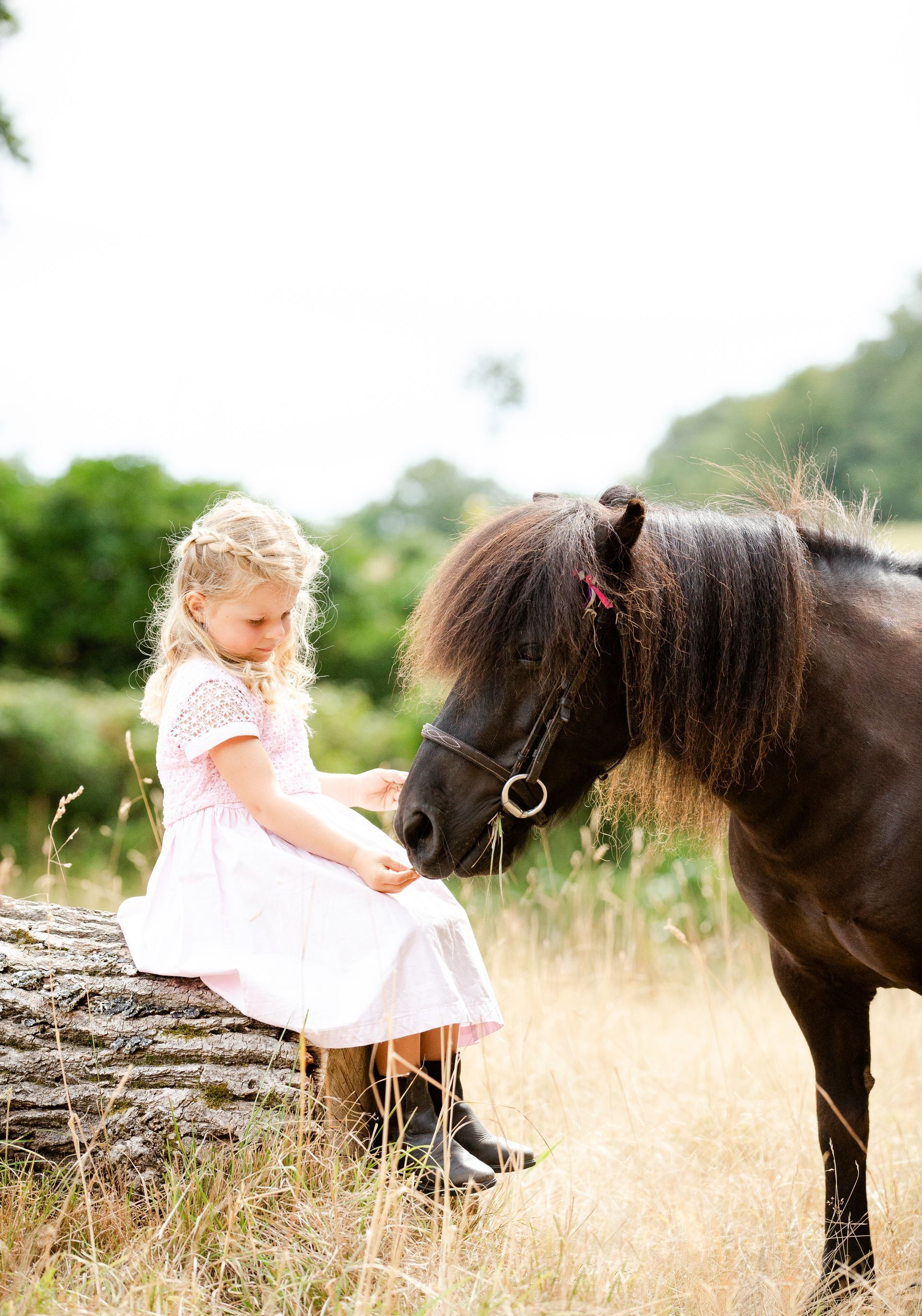Girl in pink dress sits on log, petting small black pony in grassy field.