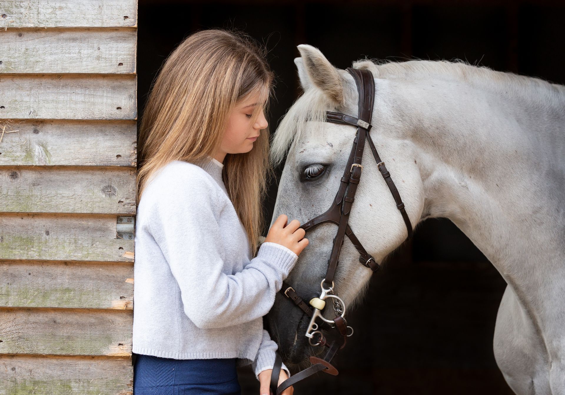Young person petting a grey horse wearing a bridle, inside a wooden stable.