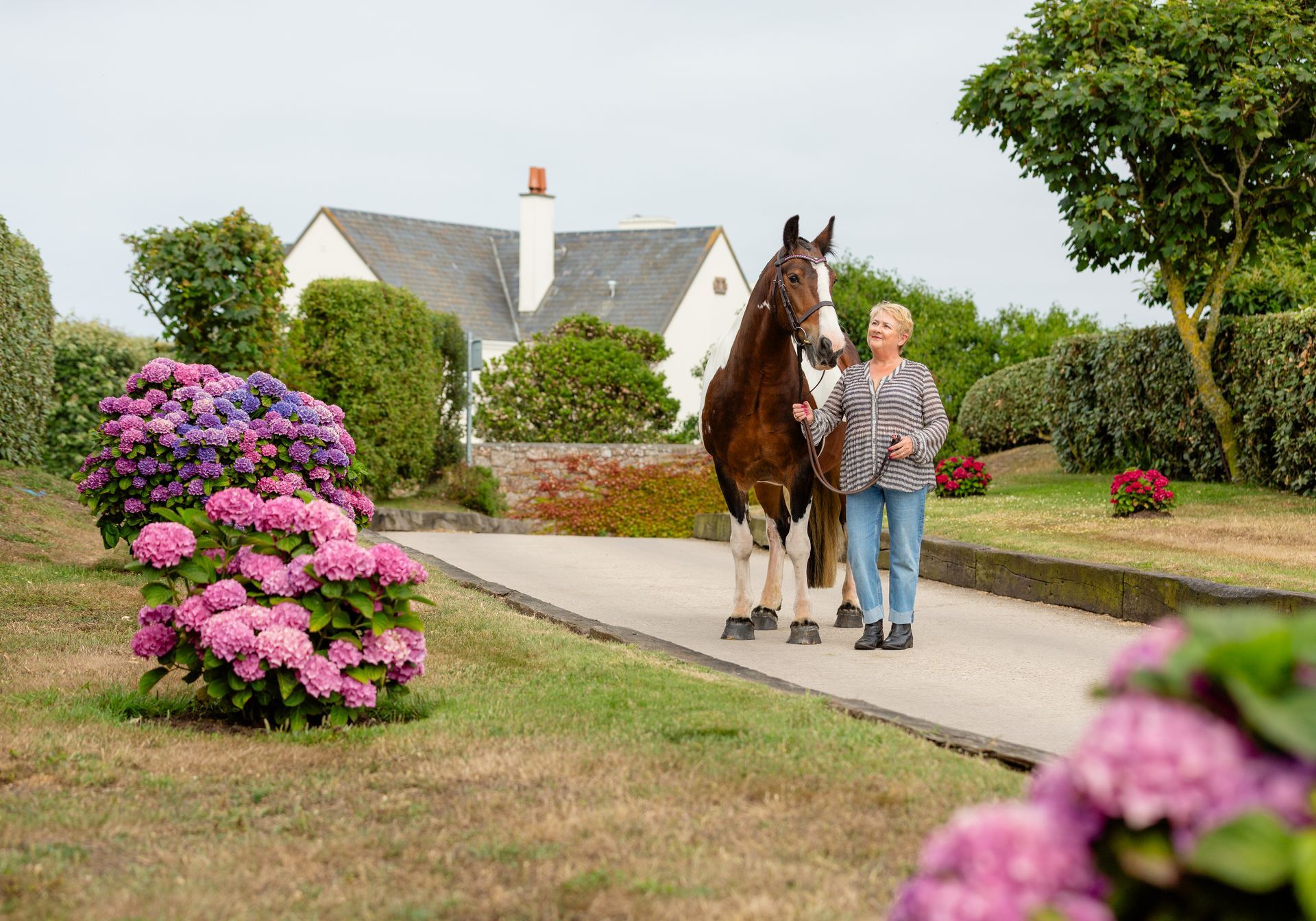 Woman walking a spotted horse on a path in front of a white house with flowering bushes.