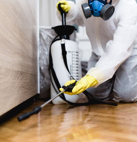 Expert Pest Control — Lincoln, NE — Brooks Exterminating Expert Pest Control — Lincoln, NE — Brooks Exterminating