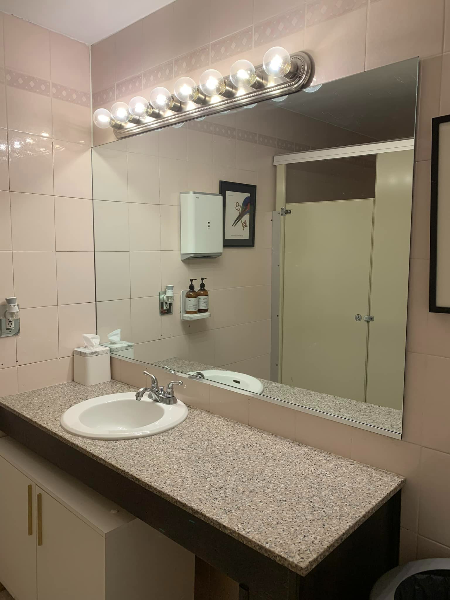 Toilet Mirror