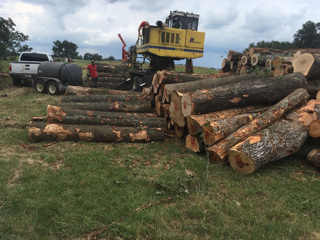 Local Logging and Timber Services | Long Valley Timber