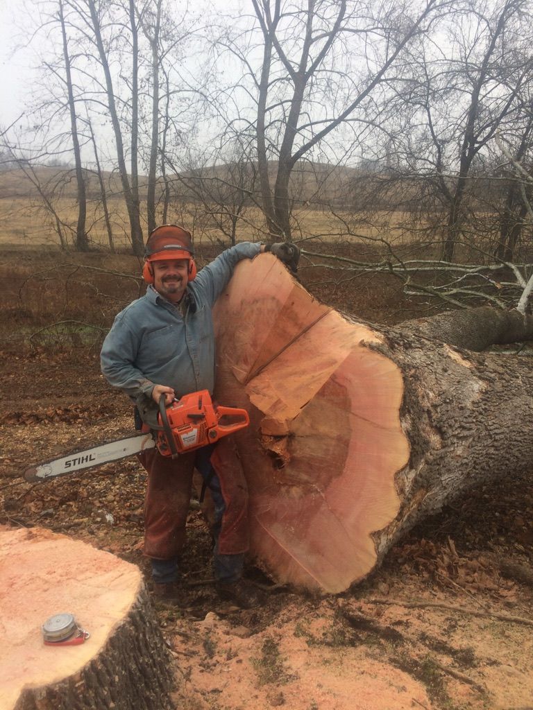 Man with chainsaw stands next to a large tree trunk in a field. He wears safety gear and smiles.