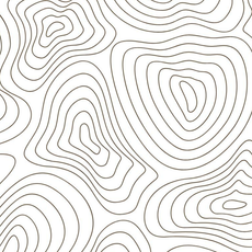 Contour lines, dark on white background, suggest a topographical map of an area with varied elevations.
