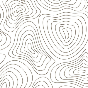 Contour lines, dark on white background, suggest a topographical map of an area with varied elevations.