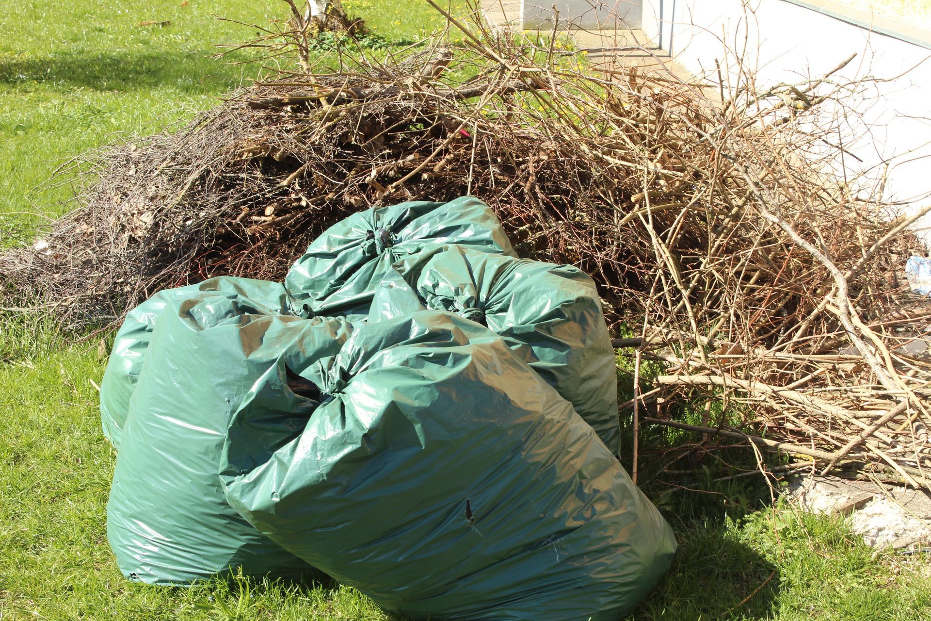 Two green yard waste bags in front of a pile of dry branches on grass