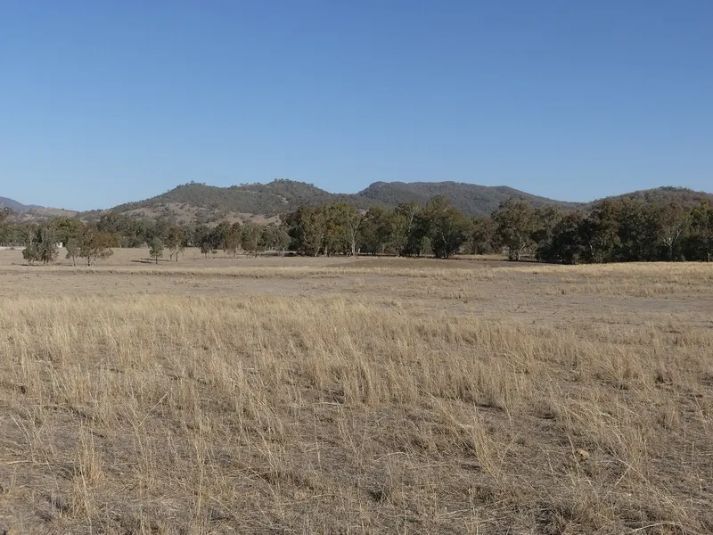 A field of dry grass with mountains in the background