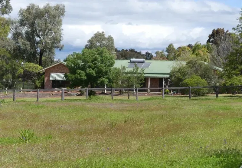 A house with a green roof sits in the middle of a grassy field
