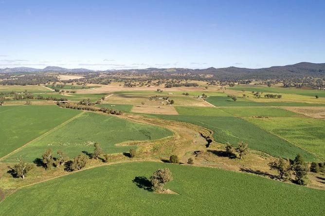 An aerial view of a lush green field with mountains in the background.