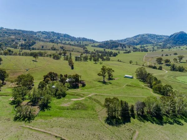 An aerial view of a lush green field with trees and mountains in the background.