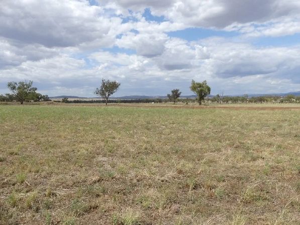 A field with trees in the background and a cloudy sky