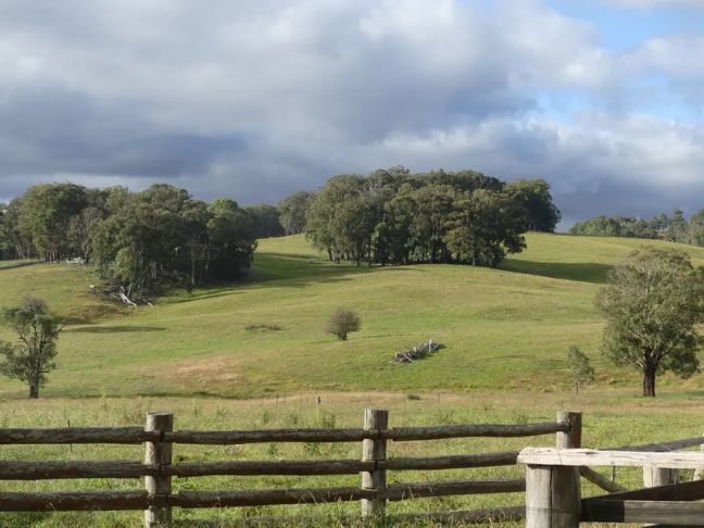 A wooden fence surrounds a grassy field with trees in the background