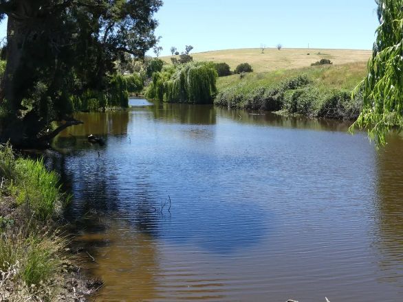A river surrounded by trees and grass on a sunny day