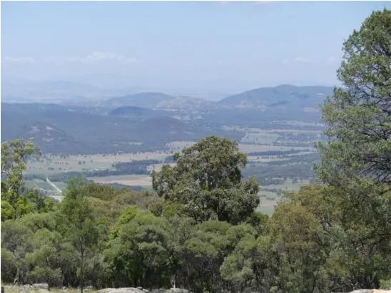 A view of a valley with trees and mountains in the background