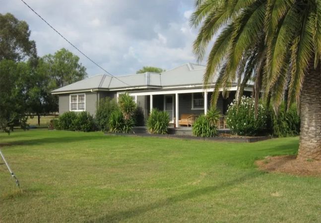 A house with a palm tree in front of it
