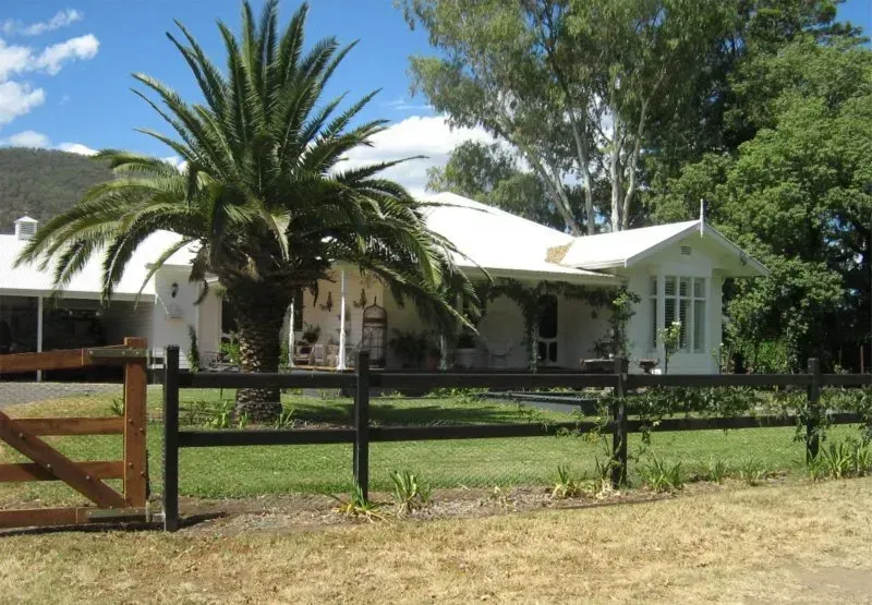 A white house with palm trees in front of it