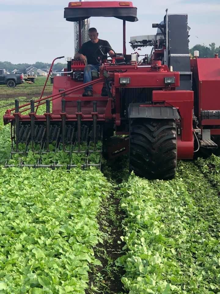 Roger at the farm