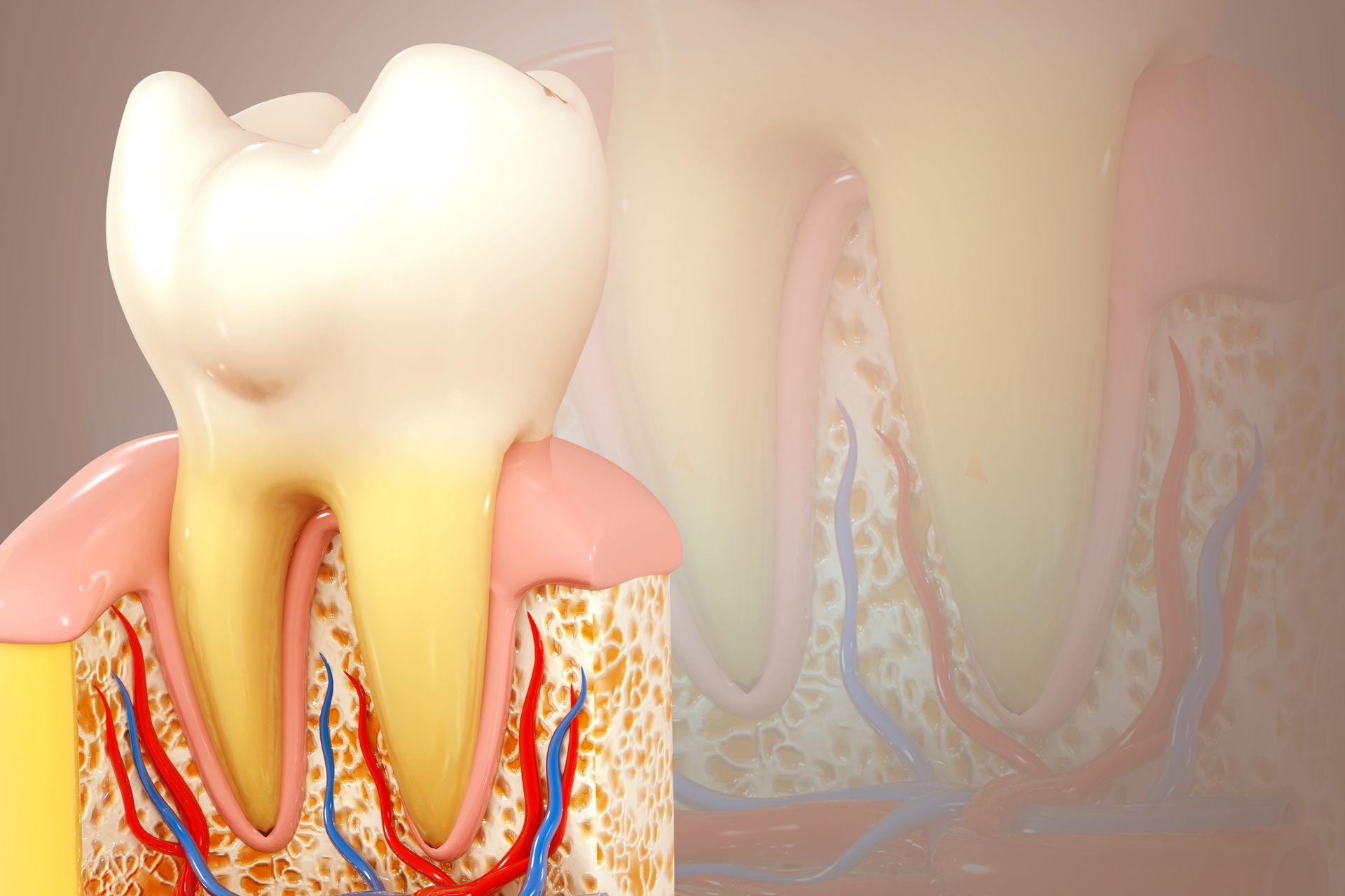 Endodonzia