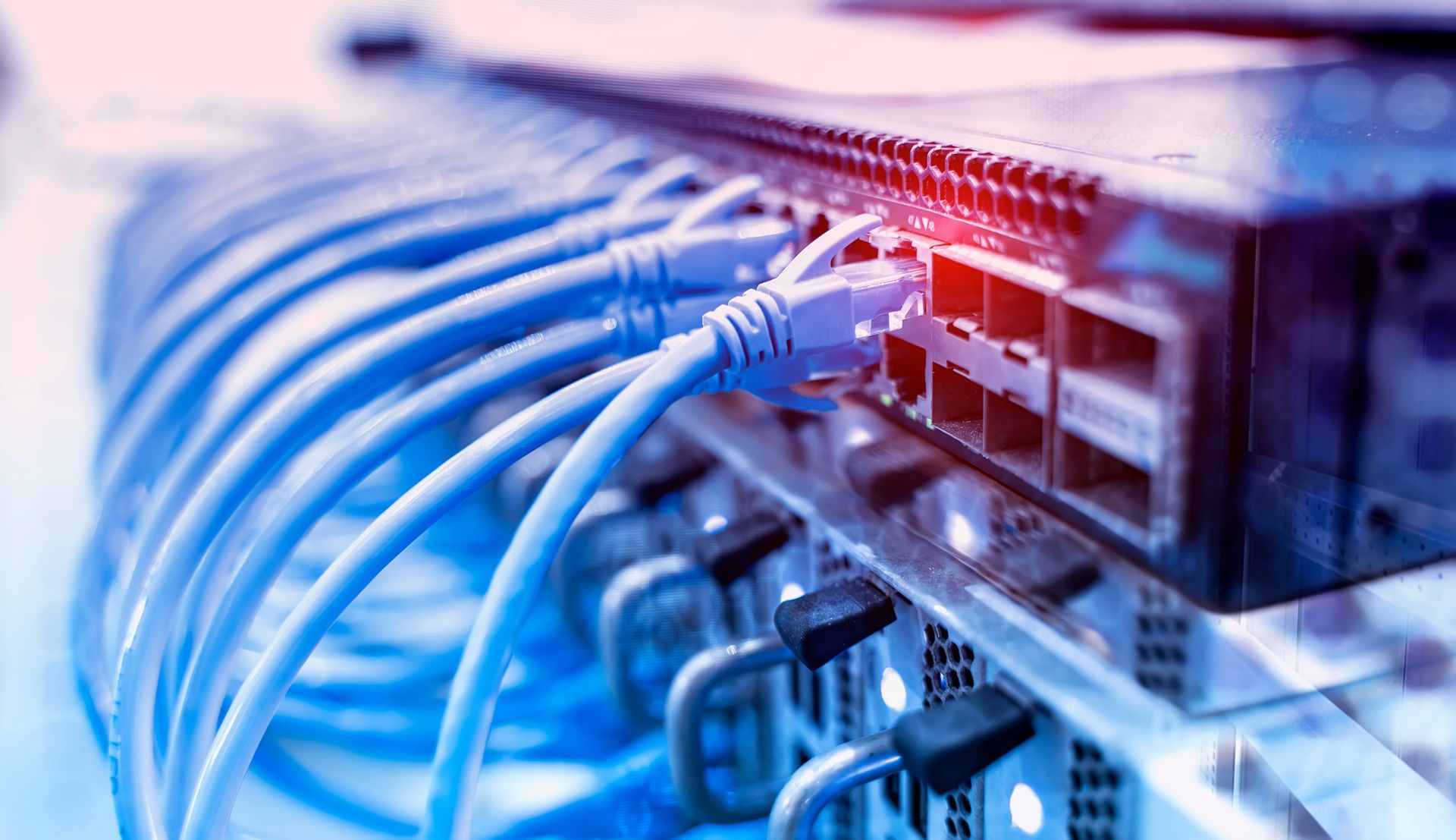 Blue network cables plugged into a server rack with glowing red indicator lights.