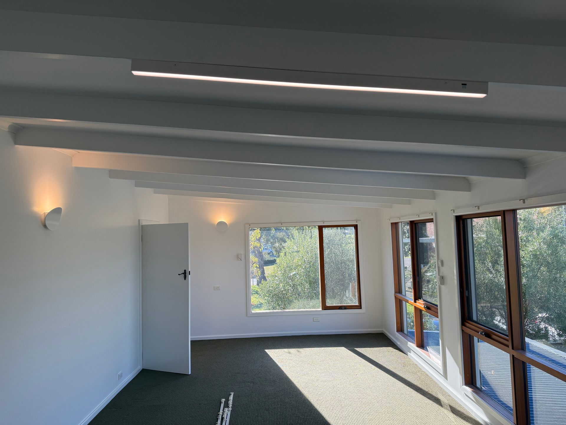 Empty bright room with white walls, green carpet, large windows, and sunlight streaming in