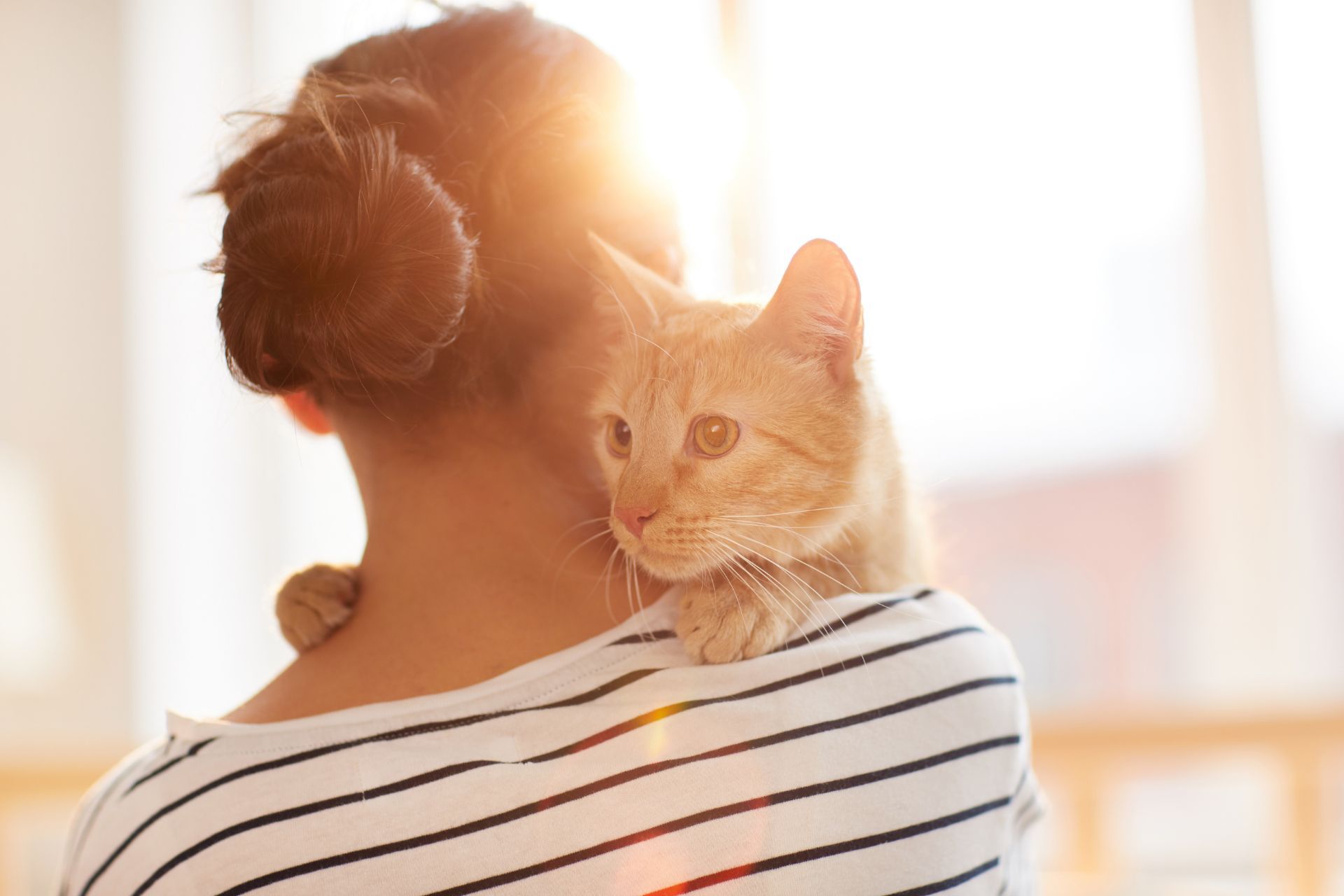 Volunteer at Orphan Animal Rescue - Neenah