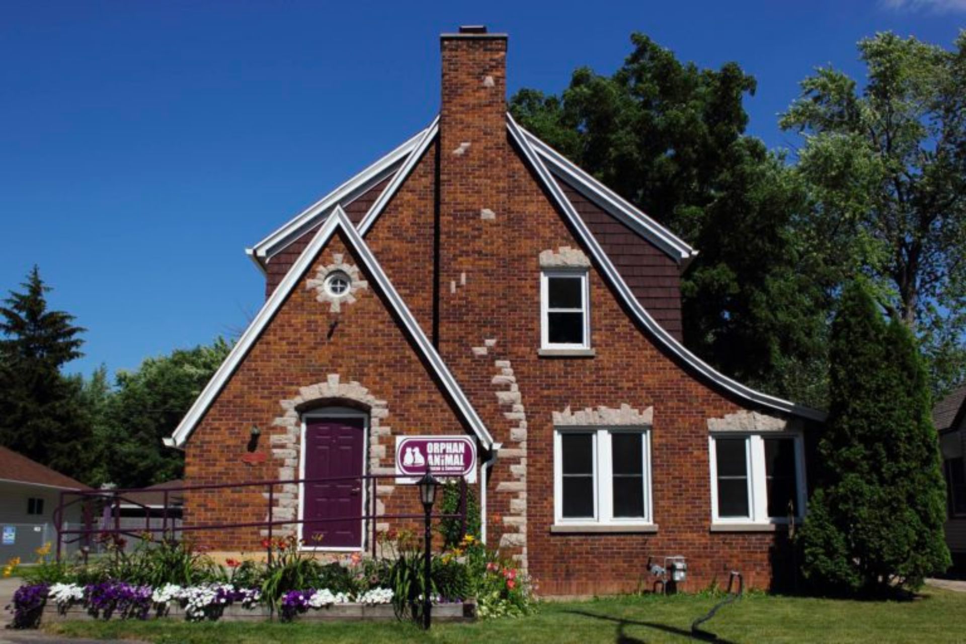 Orphan Animal Rescue & Sanctuary - Neenah WI