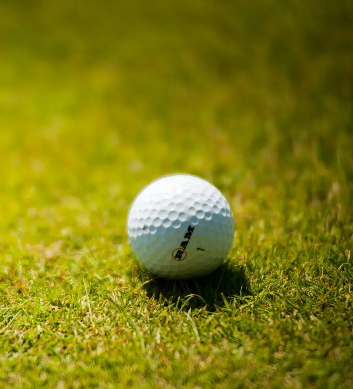 A white golf ball resting on green grass in bright sunlight