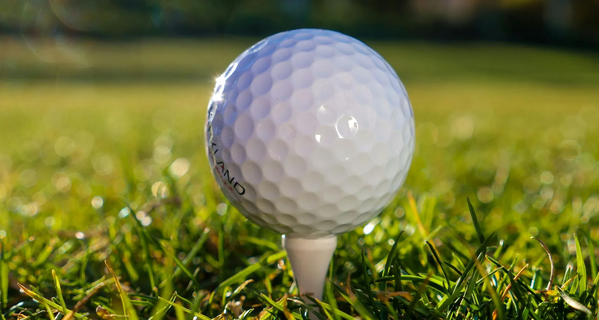 Golf ball on a tee in short green grass, close-up outdoors on a sunny day