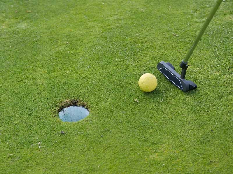 Golf ball beside putter near a hole on a green putting surface