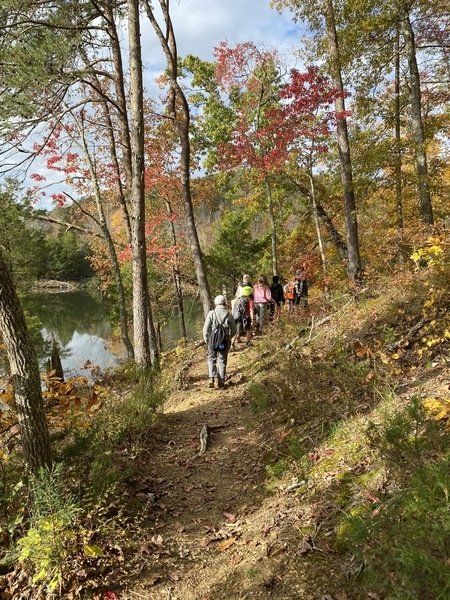 A group of people are walking down a path in the woods near a lake.