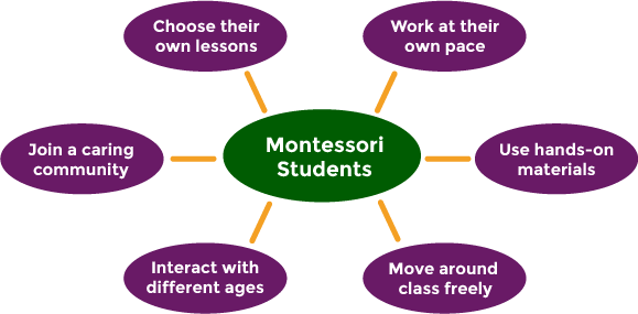 A diagram showing the characteristics of montessori students