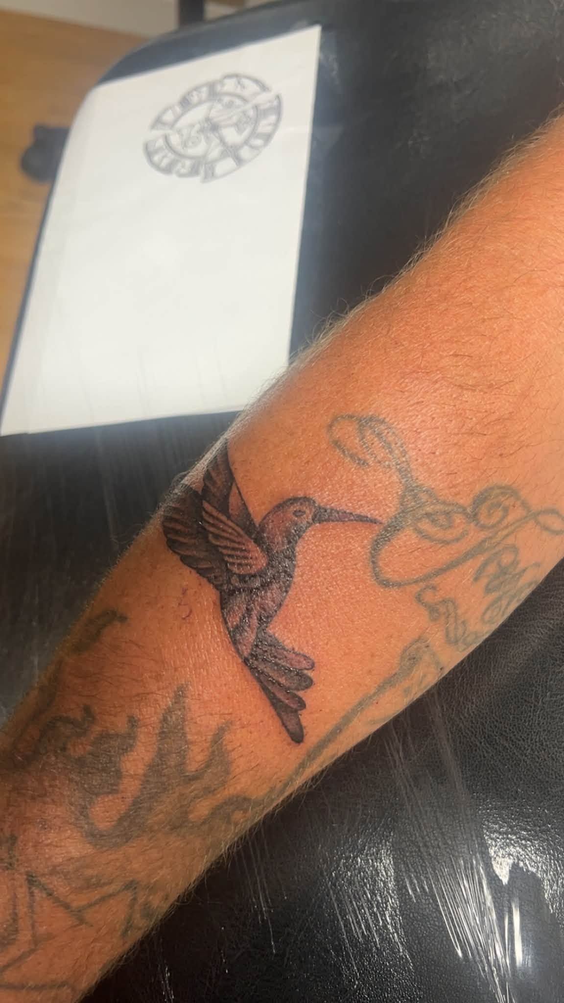 Close-up of an arm with a hummingbird tattoo and a faint sketch on paper in the background