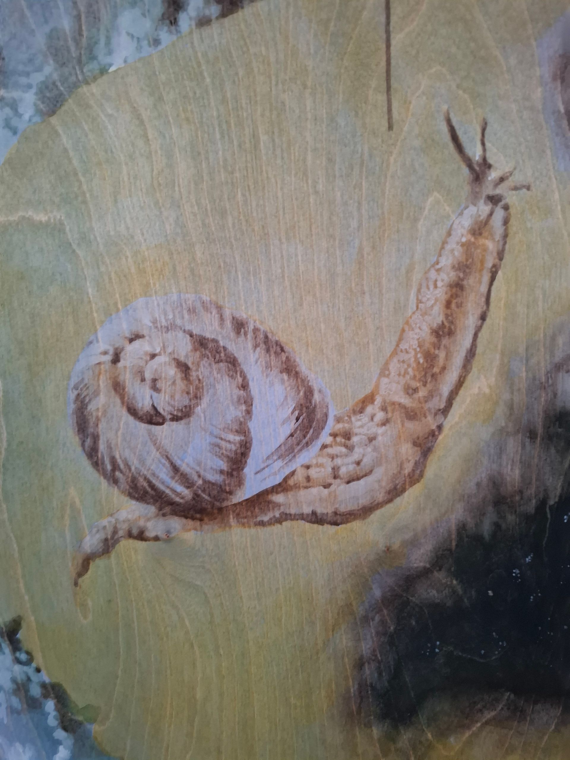 Fiona Lutjenhuis The Shell of life Prix de Rome