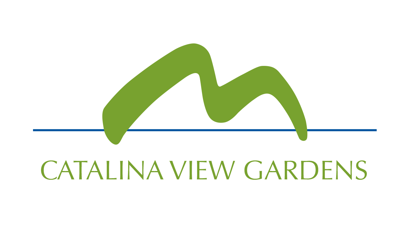 Our Services - Personalized Culinary Experiences | Chef Dora Presents