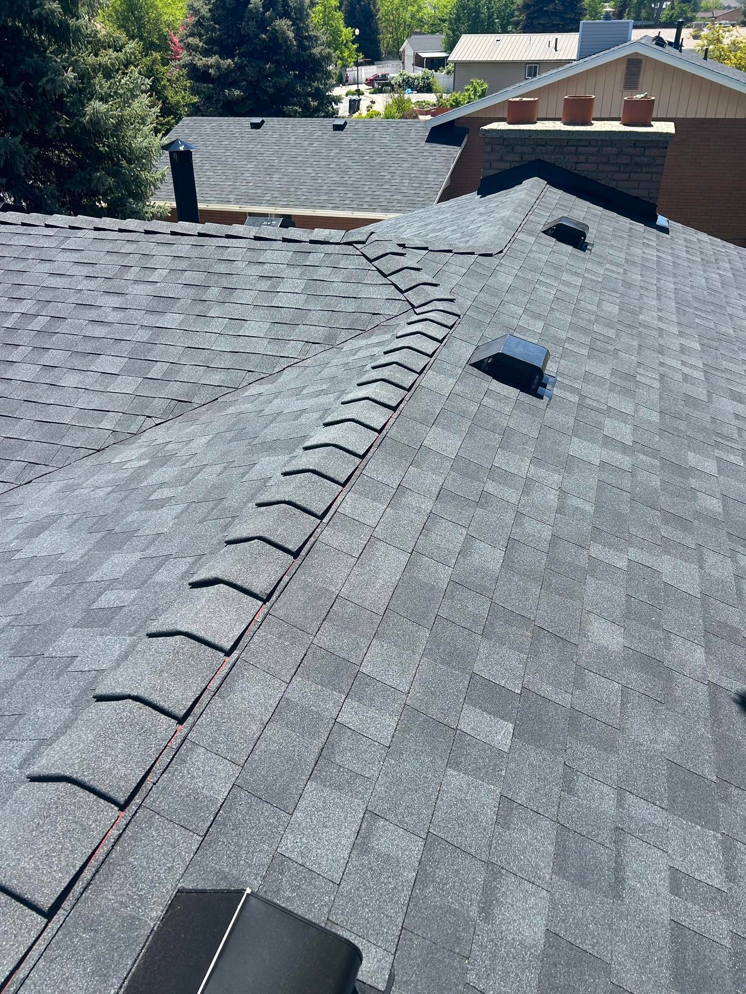 Gray shingled residential rooftops with skylight and vent under bright sunlight