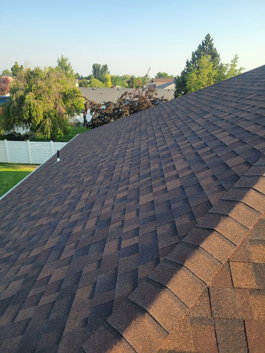Sloped shingle roof in sunlight with trees and a neighbor’s roof in the background