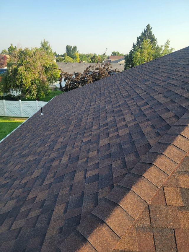 Sloped shingle roof in sunlight with trees and a neighbor’s roof in the background