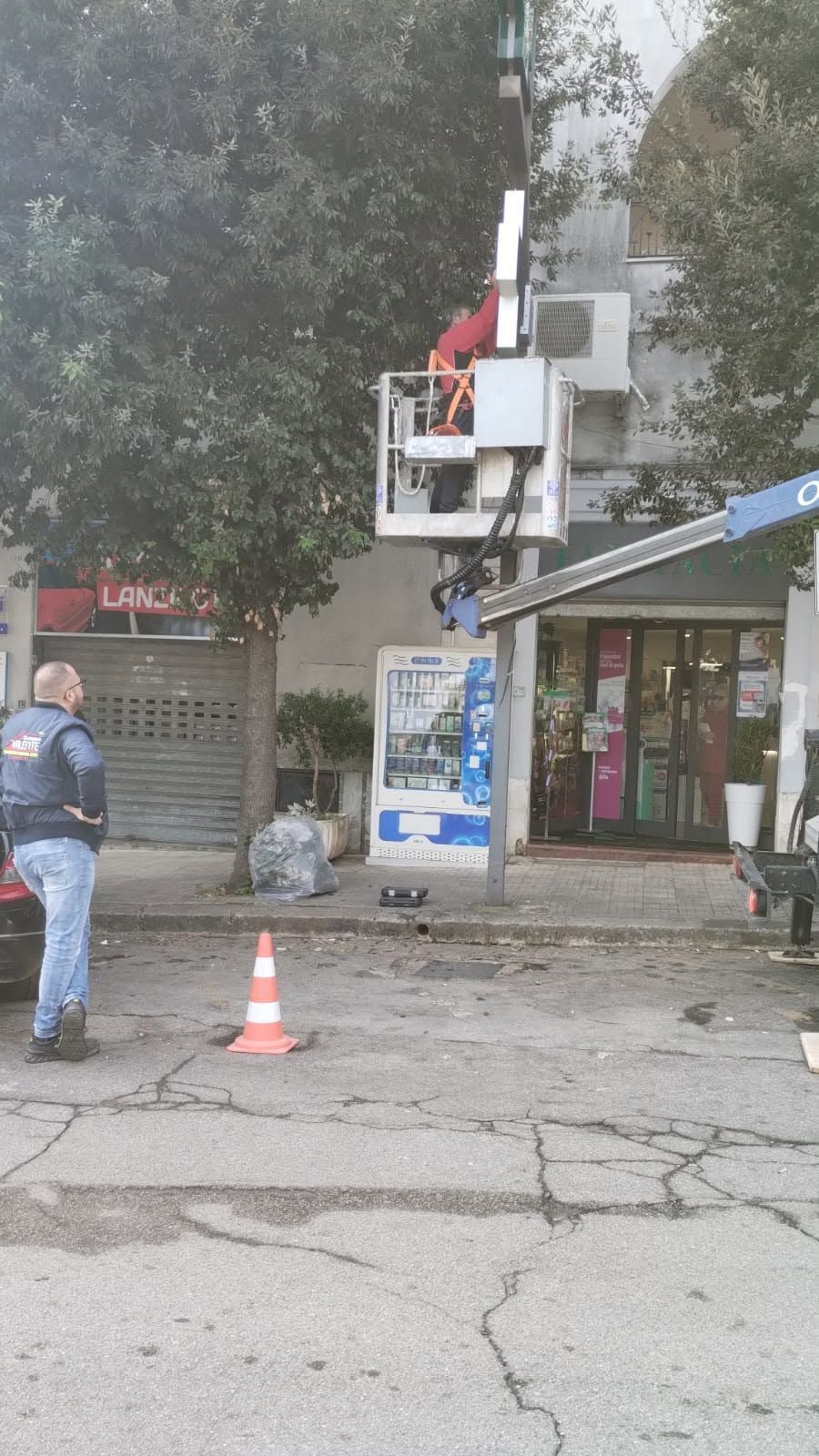 Un operaio sta potando degli alberi su una piattaforma elevatrice accanto a un edificio, con un cono stradale in primo piano.