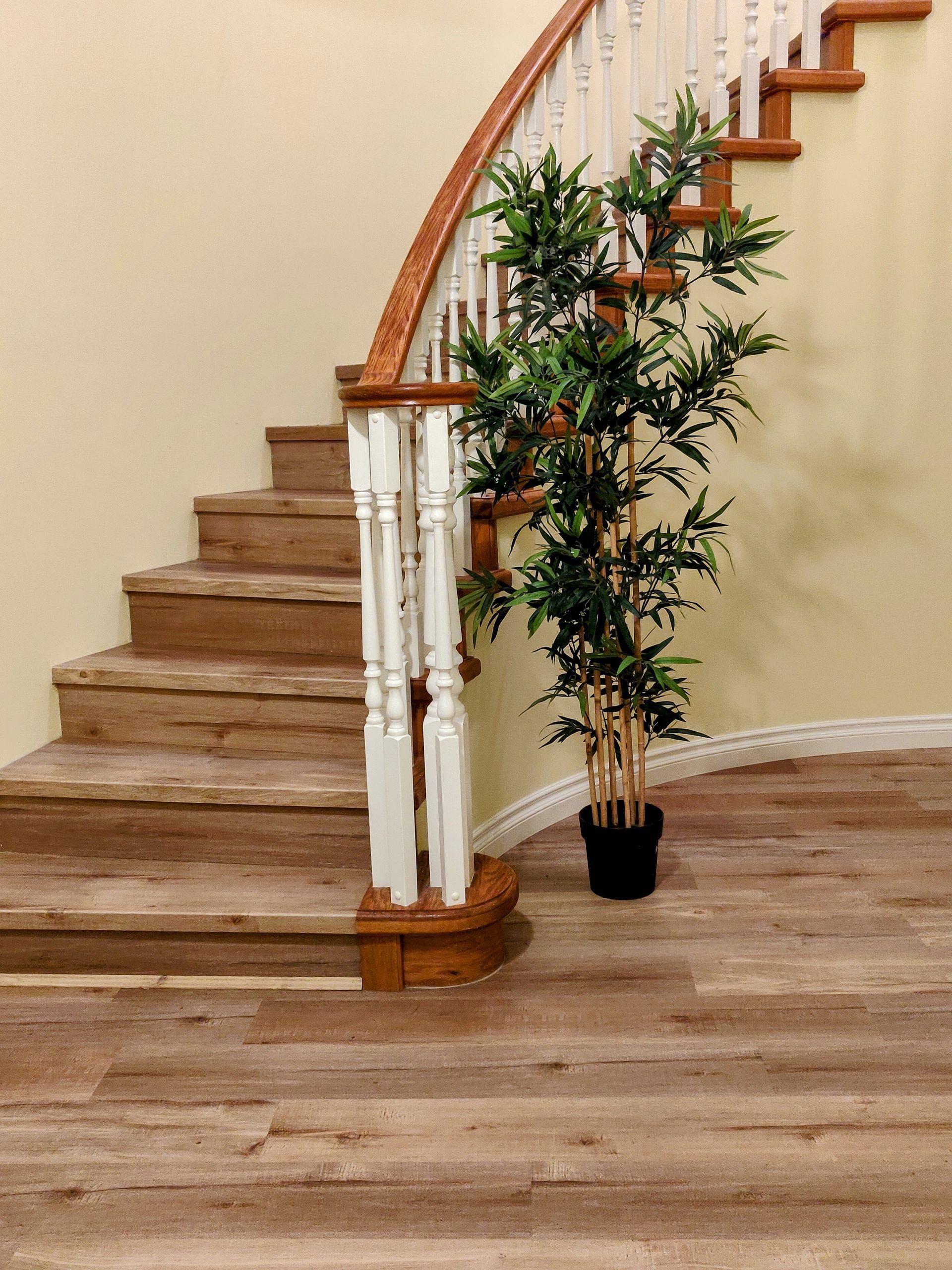 Wooden staircase with white railing and a potted plant in a beige entryway