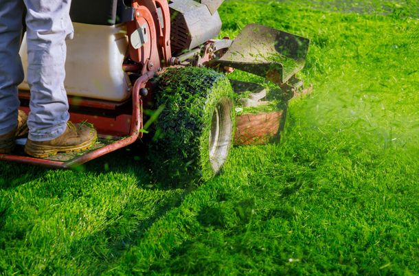 Person operating a lawn mower cutting bright green grass in a yard
