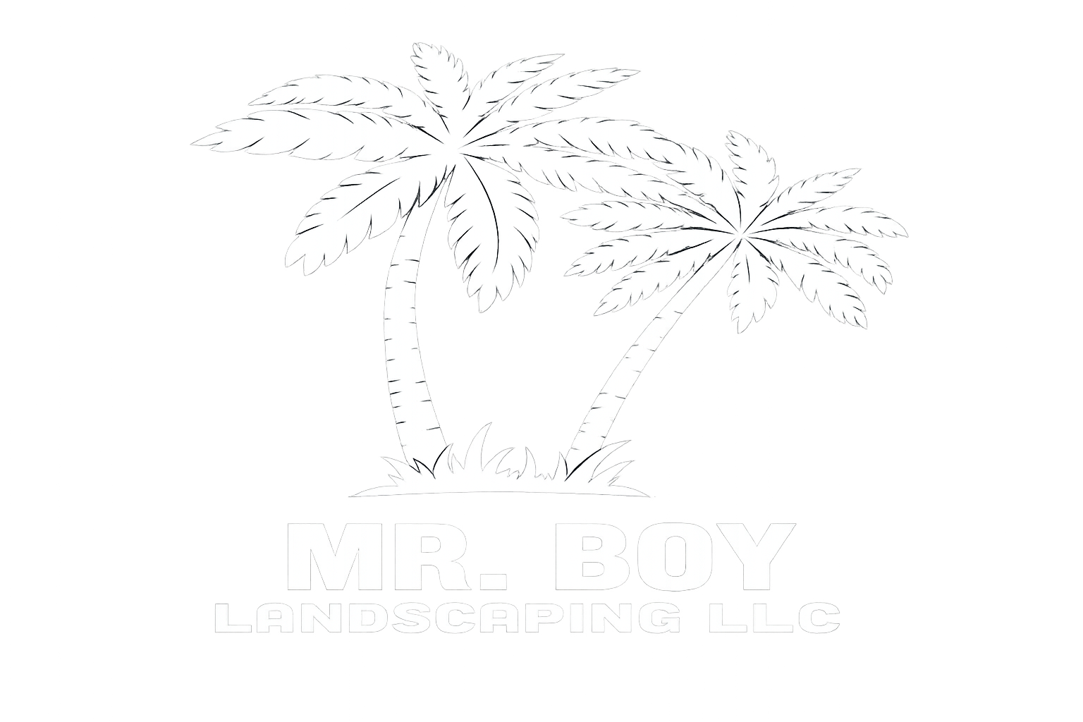 Mr. Boy Landscaping LLC Mr. Boy Landscaping LLC