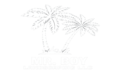 Mr. Boy Landscaping LLC Mr. Boy Landscaping LLC